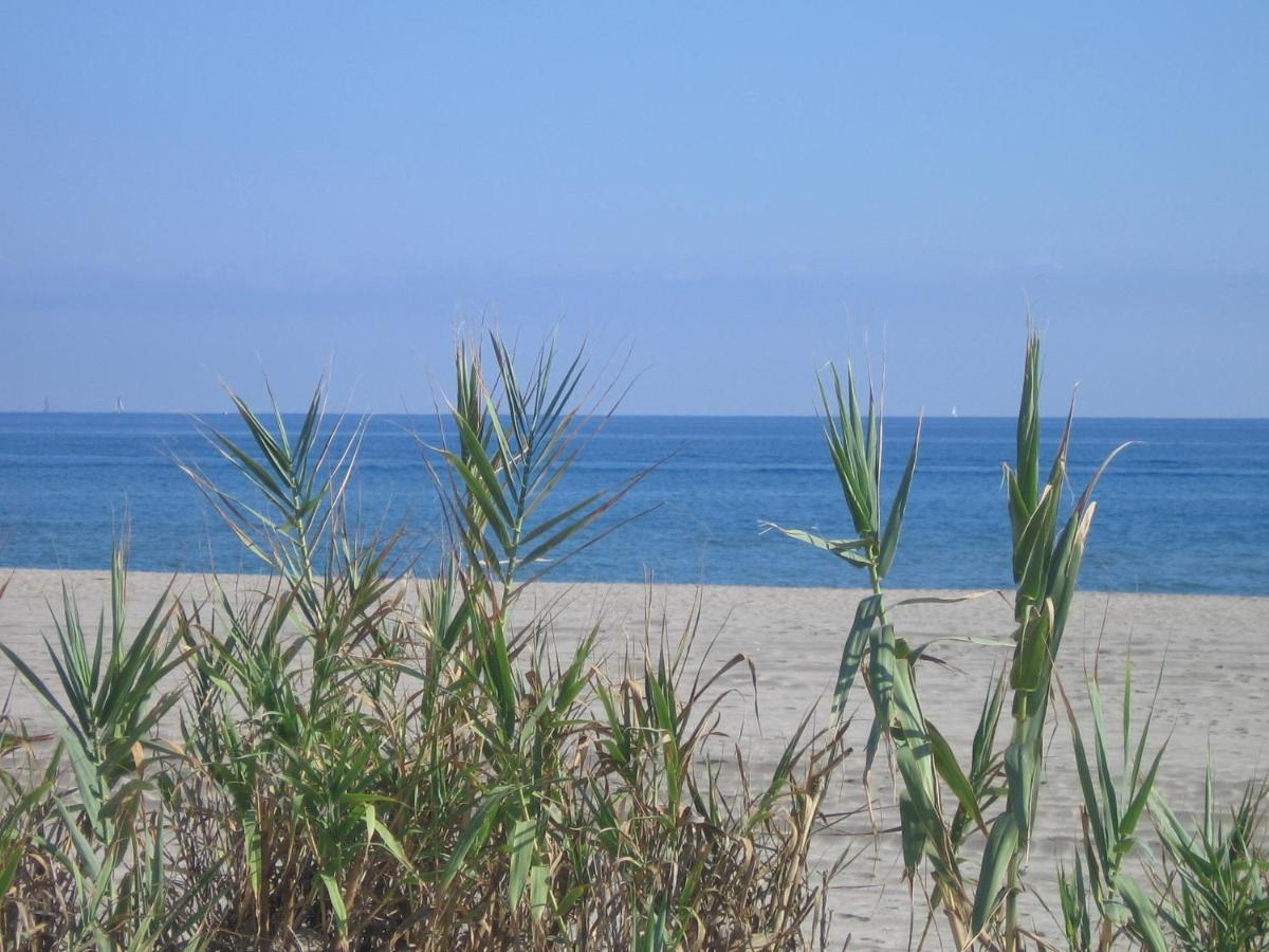 Studio Vue Sur La Mer Au 6Eme Et Dernier Etage Canet-en-Roussillon Exteriér fotografie